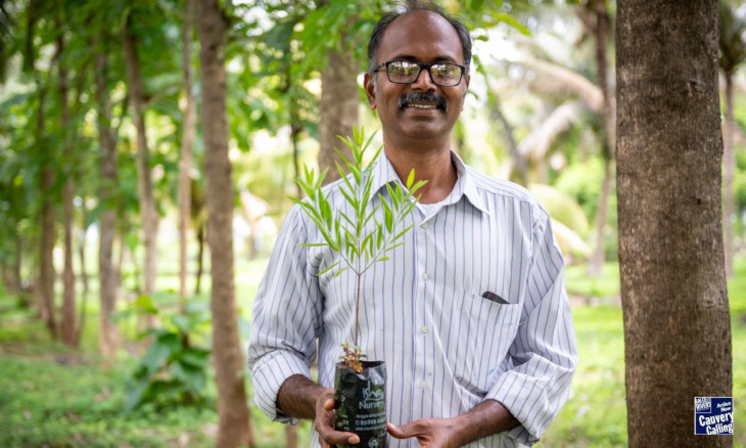 Cauvery Calling Aufforstung am Kaveri